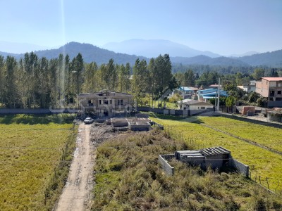 نمای جنگل از روستای خیرسر - 1399/07/23
